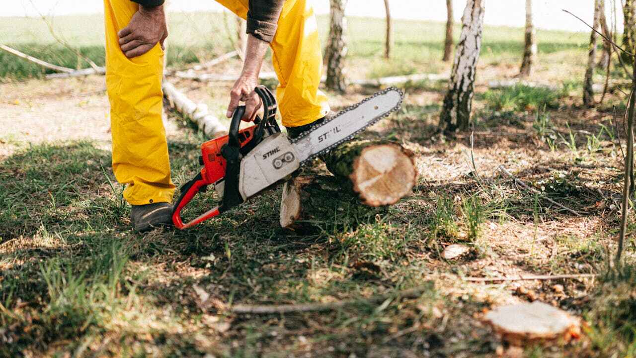 Orfordville, WI Tree Service Company